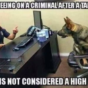 Meet your Posher, Jim